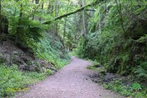 Hinter den engen Felsabschnitten führt der Weg wieder durch lichten Wald. (Bild: Natalia Siedler)